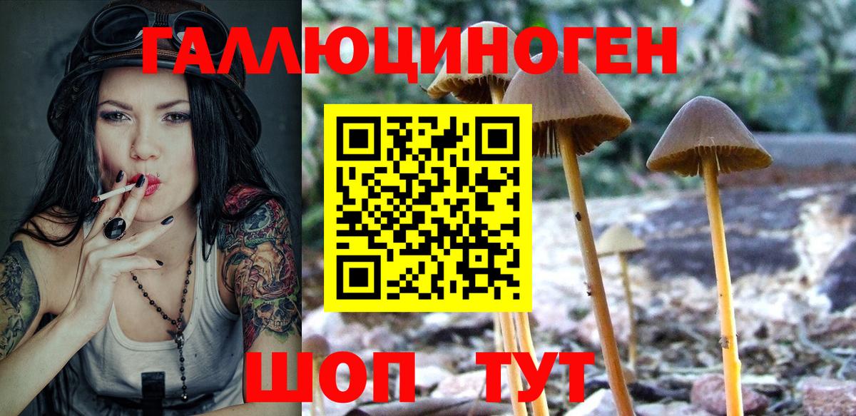 Красногорск  Псилоцибиновые грибы GOLDEN TEACHER  Вход с VPN 