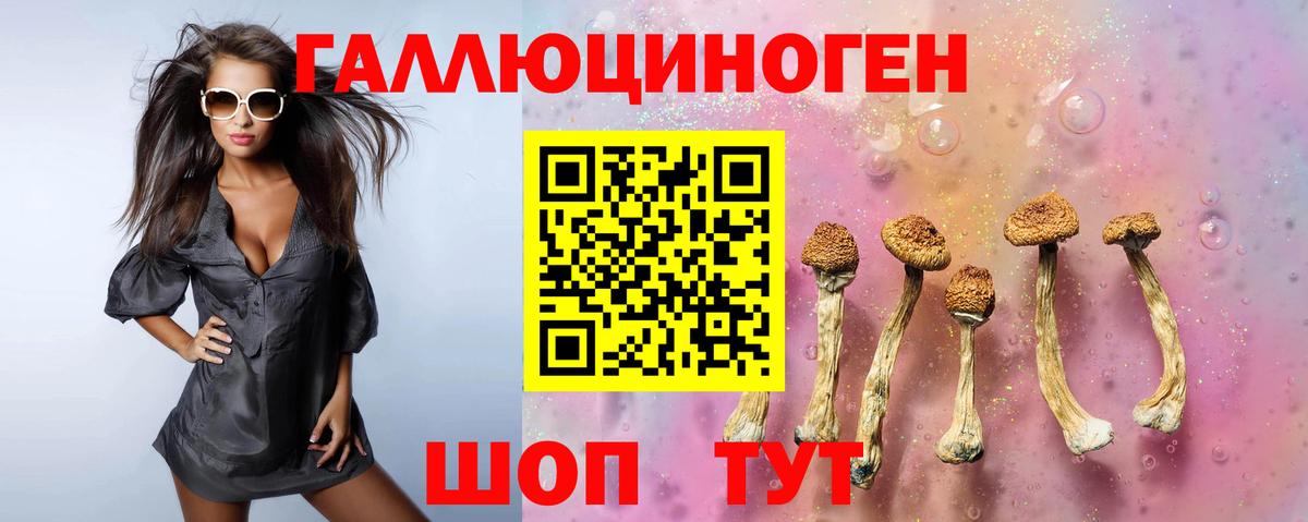Псилоцибиновые грибы GOLDEN TEACHER Красногорск